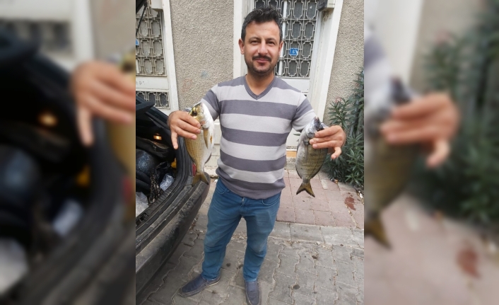 Çanakkale’deki amatör balıkçıların lüfer bereketi
