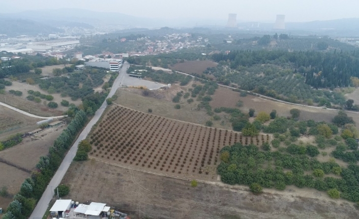 Dublör kullanıp 50 milyon liralık arazilerini elinden aldılar