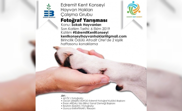 Hayvanları Koruma günü Edremit’te ilk kez kutlanacak