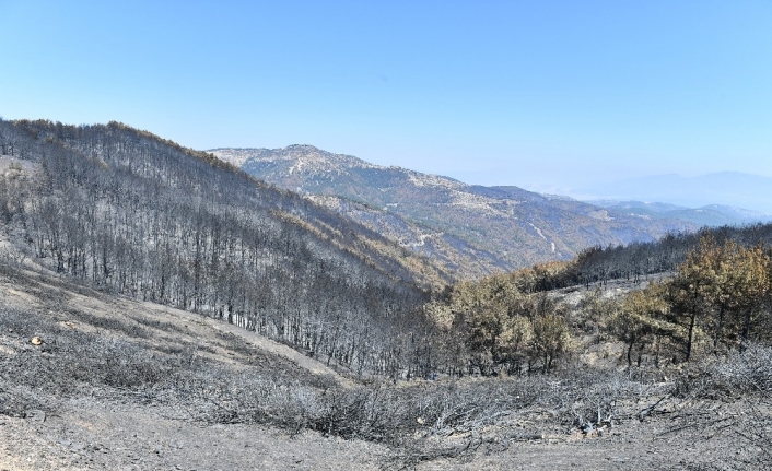 İzmir Valiliğinden orman yangınlarıyla ilgili beklenen izin geldi