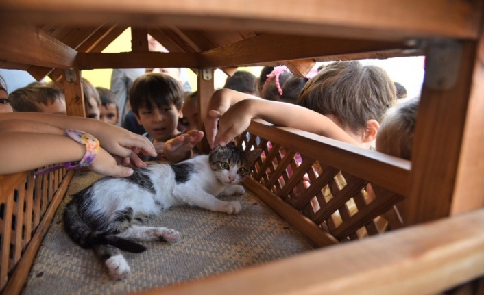 Karesi’de hayvan sevgisi büyüyor