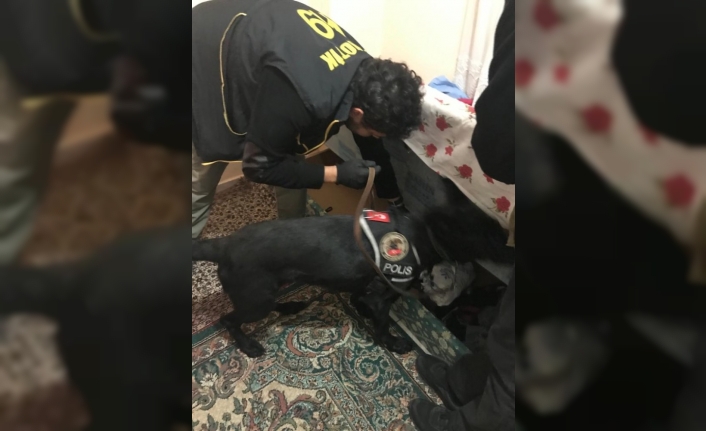 Narkotik köpeği ’Bath’ uyuşturucu tacirlerine geçit vermiyor
