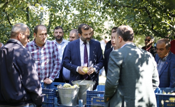 (Özel) Kadına şiddete dikkat çektiler, Belediye Başkanı ve muhtarlar armut topladı
