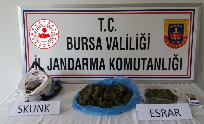 Uyuşturucu maddeler klozetten çıktı