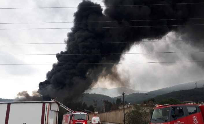 İzmir’de büyük yangın: Onlarca ekip bölgede