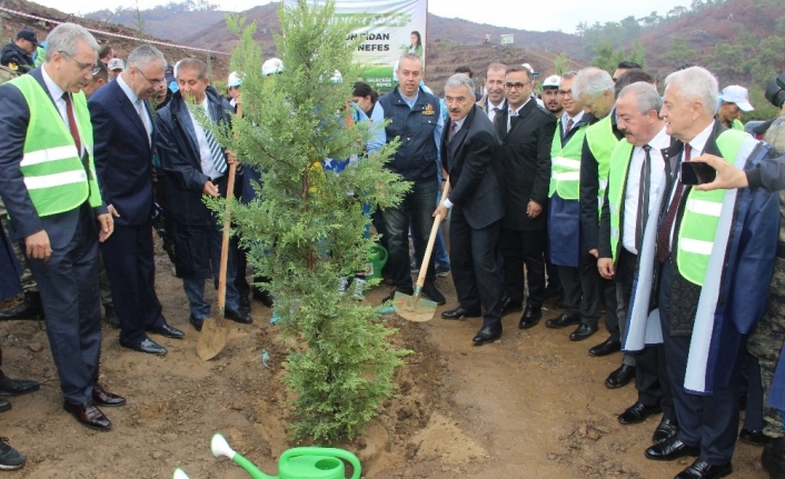 İzmir’de PKK’nın yaktığı alan ağaçlandırılıyor