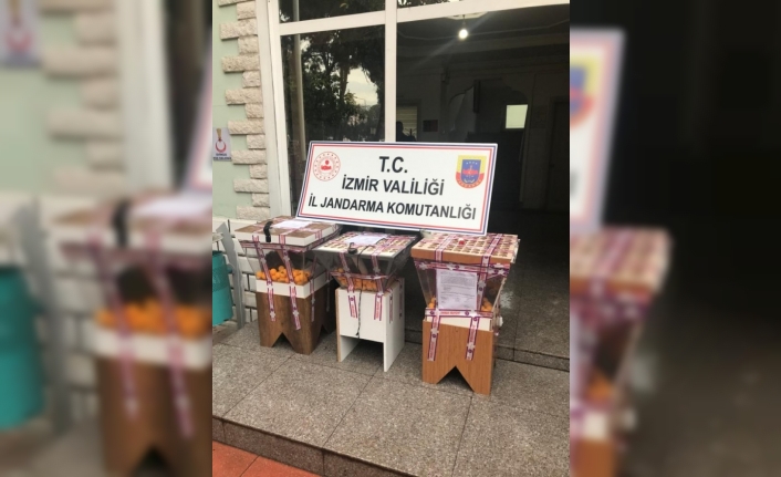 Jandarma 99 kişiyi kumar oynarken suçüstü yakaladı