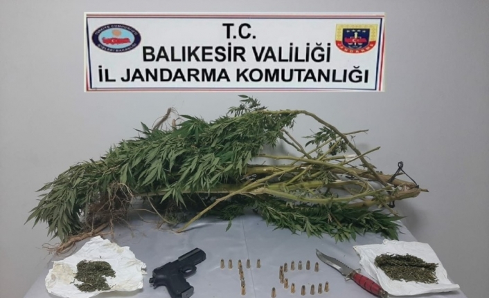 Jandarmadan uyuşturucuya geçit yok