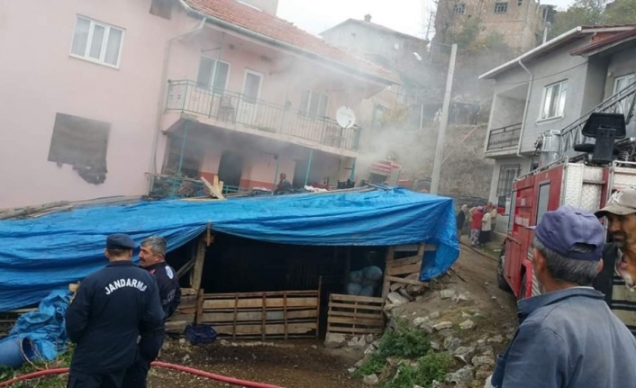 Otlar tutuştu, 3 katlı ev yandı