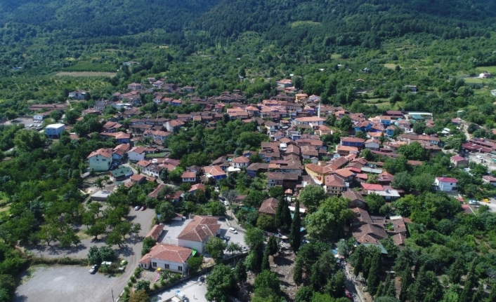 UNESCO Dünya Mirası Listesindeki Cumalıkızık’ta kırmızı alarm