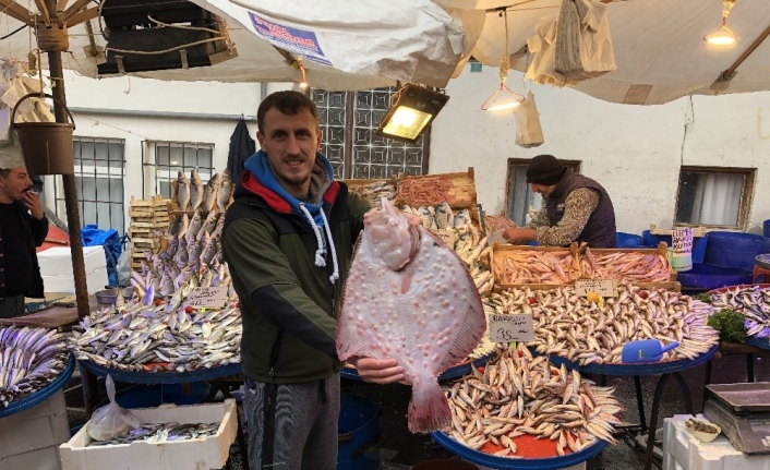 2 kilo 800 gram kalkan balığı 450 liraya alıcı buldu