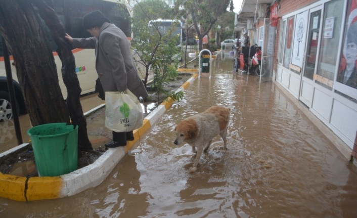 Ayvalık yine sular altında kaldı