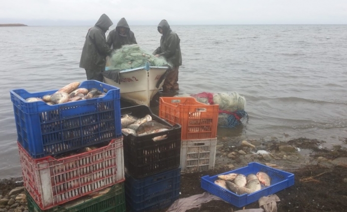 İznik gölü, nesli tükenen "kepekleme" balığı kaynıyor