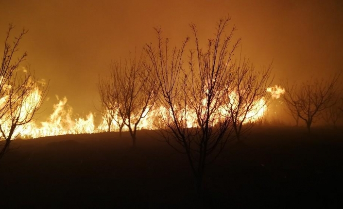 İznik Gölü’ndeki sazlık yangını kontrol altına alındı
