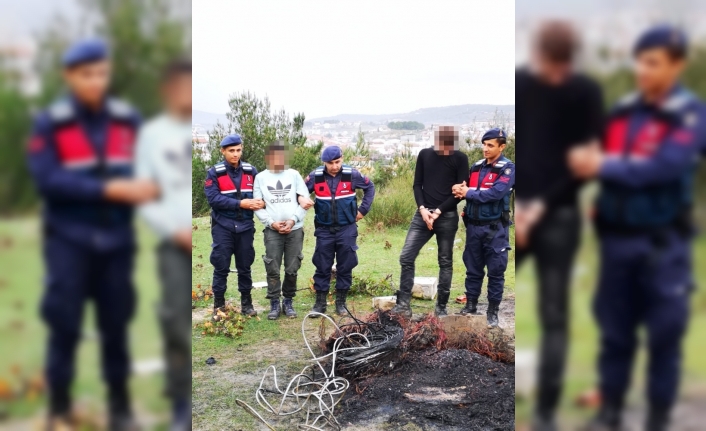 Suçüstü yapılan kablo hırsızları serbest kaldı