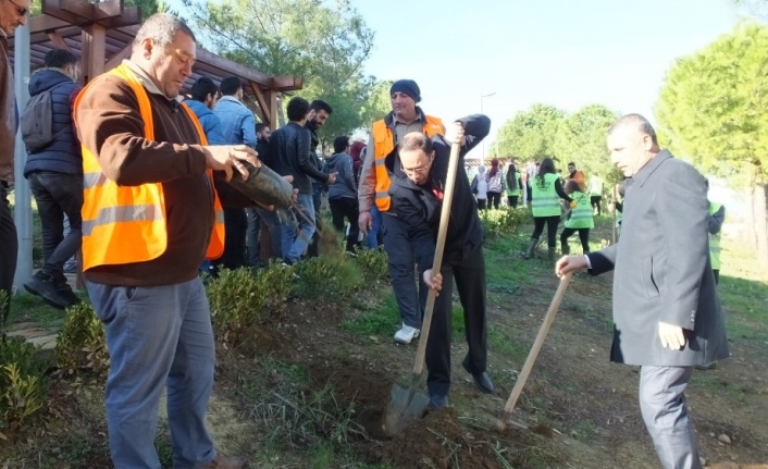 Takım Çalışması Dersinde fıstık çamlarını toprakla buluşturdular