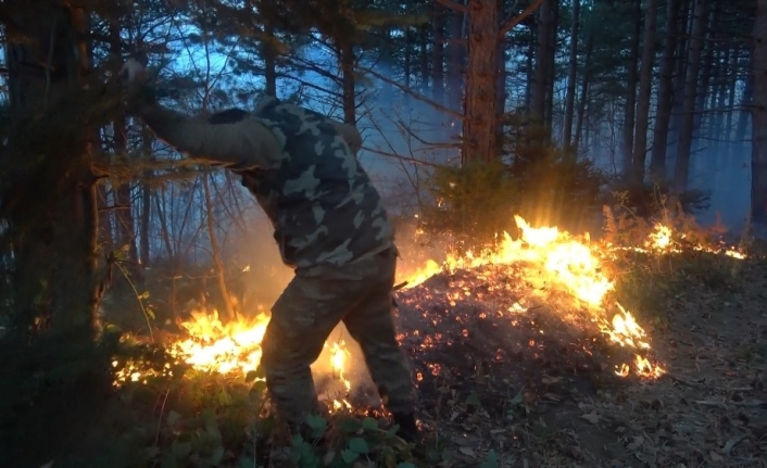 Uludağ eteklerinde orman yangını