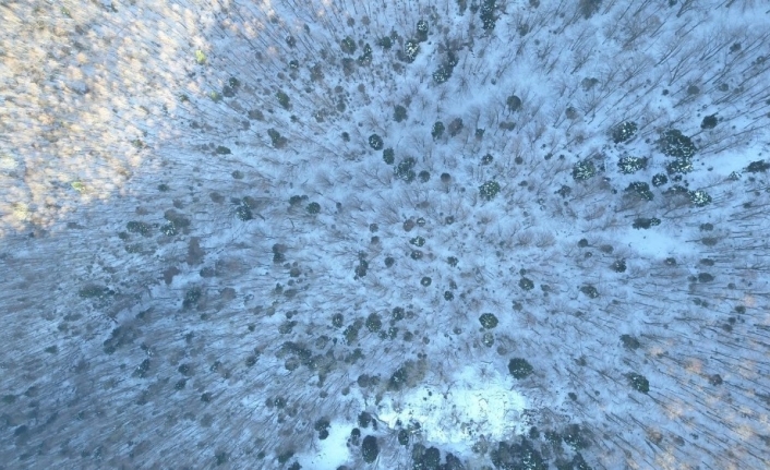 Uludağ’da kayıp olan iki dağcı drone ile arandı