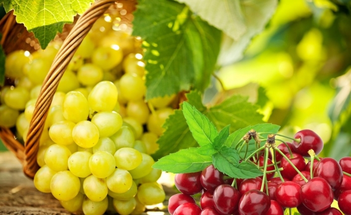 Yaş meyve sebze ve mamulleri UR-GE projeleriyle hedef pazarlara ihraç edilecek