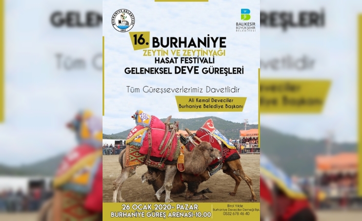 Burhaniye Zeytin ve Zeytinyağı Festivaline hazırlanıyor