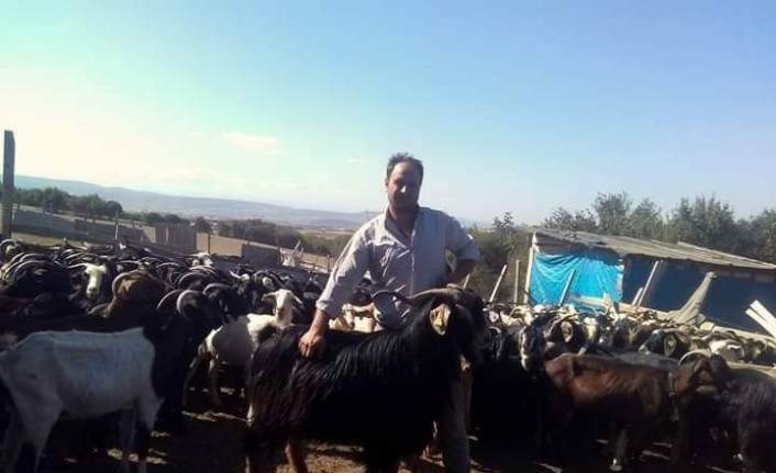 Çobanların dünyasını bir çoban yazdı