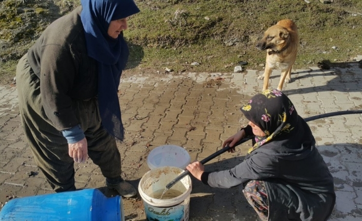 Köyde çıkan yangına kadınlar kovalarla su taşıyarak müdahale etti