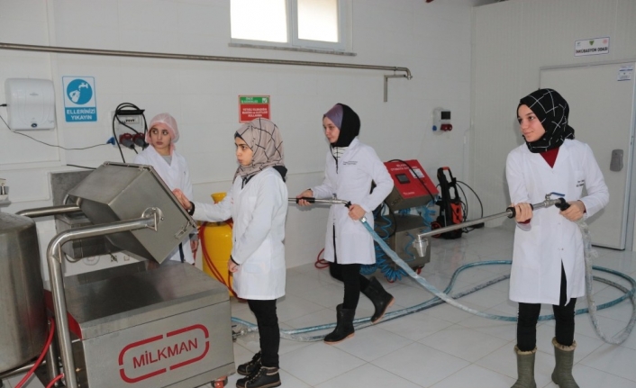 Mandıra değil meslek lisesi