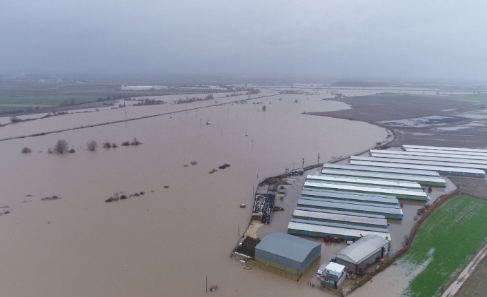 Hırsızlar sele sebep oldu...Binlerce dönüm ekili alan ve 2 bin boğa sular altında kaldı