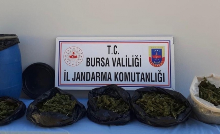 Bursa’da ormanda toprağa gömülmüş halde 5 kilo esrar bulundu