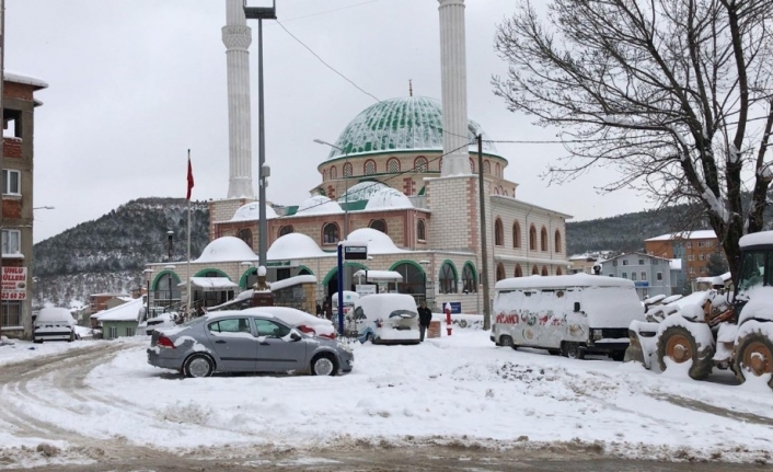 Bursa’nın dağ ilçeleri kara teslim