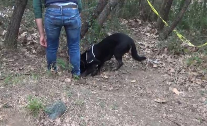 Büyükşehirleri kana bulayacaklardı, işte böyle yakalandılar