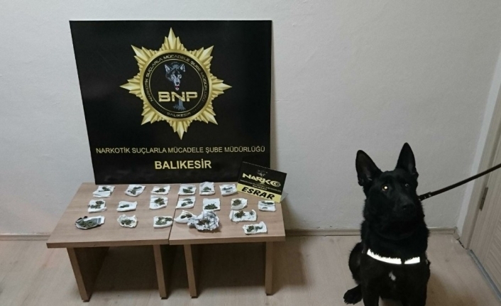 Dedektör köpek Baht’dan bingo