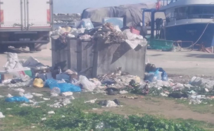 Erdek’te çöpler toplanmıyor, sokaklar kokmaya başladı