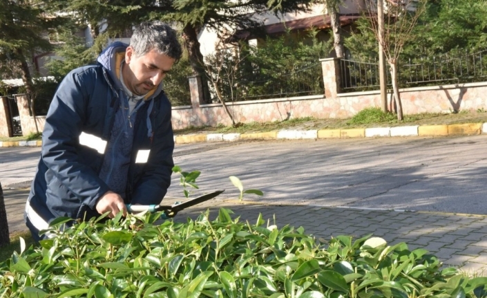 Karesi küçük dokunuşlarla güzelleşiyor