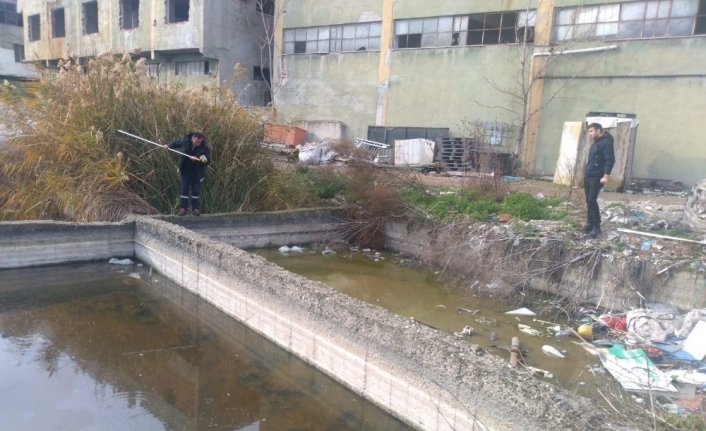 Mustafakemalpaşa’da haşereyle mücadele sürüyor