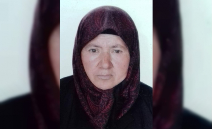5 çocuk annesi kayıplara karıştı