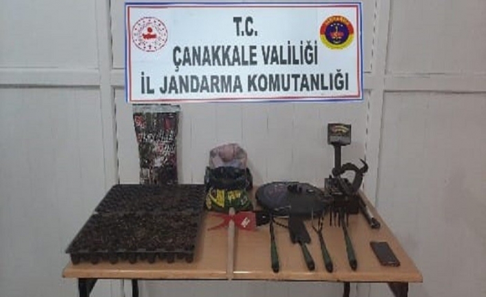 Çanakkale’de yasa dışı kenevir ekimine operasyon