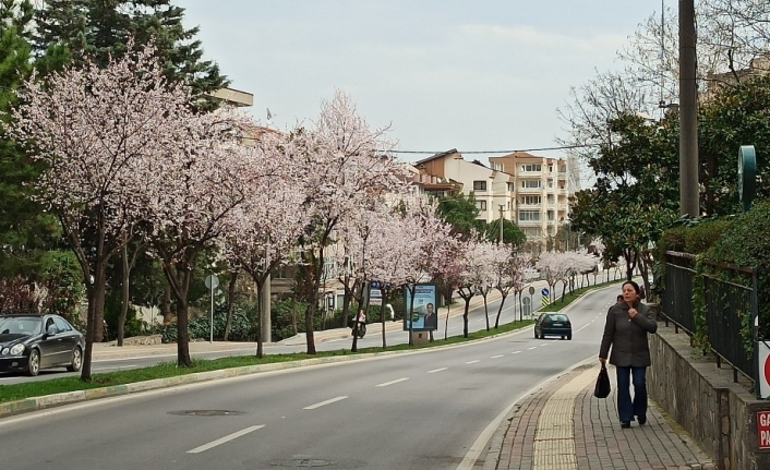Çiçek açan erik ve bademler Bursa’ya baharı getirdi