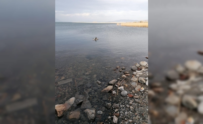 İznik’te göle deşarj söz konusu değil