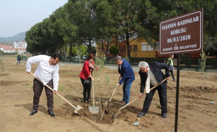 Kadınlar gününe zeytin fidanlı destek