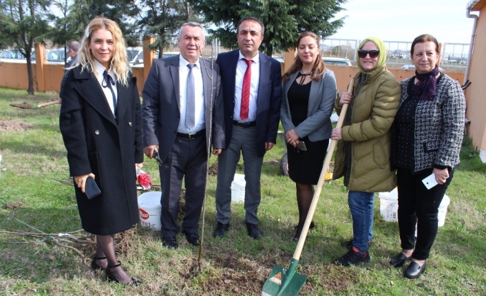 Lisenin bahçesi meyve bahçesi oldu