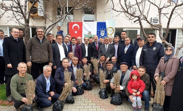 Orhanelili çiftçilere 7 bin 500 kurt üzümü fidanı dağıtıldı