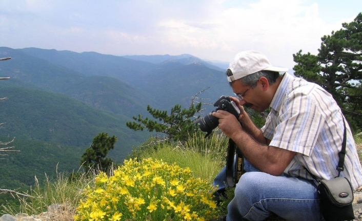 (Özel) Balıkesir’de yabanî hayvan popülasyonu açıklandı