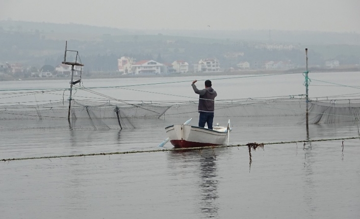 (Özel) Binlerce yıllık yöntemle günde 1 ton balık yakalıyorlar