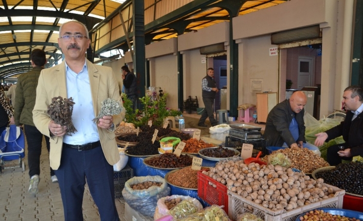 Korana virüsü salgınına karşı virüs savar bitkiler
