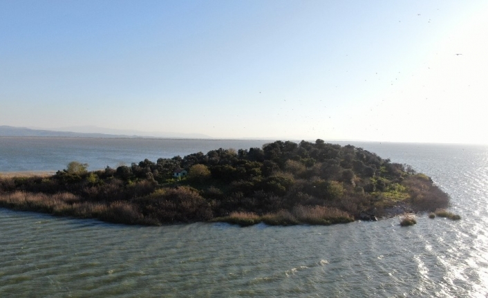 Ada sahibi çiftçi Cristiano Ronaldo’dan umudu kesti Fatih Terim’e seslendi