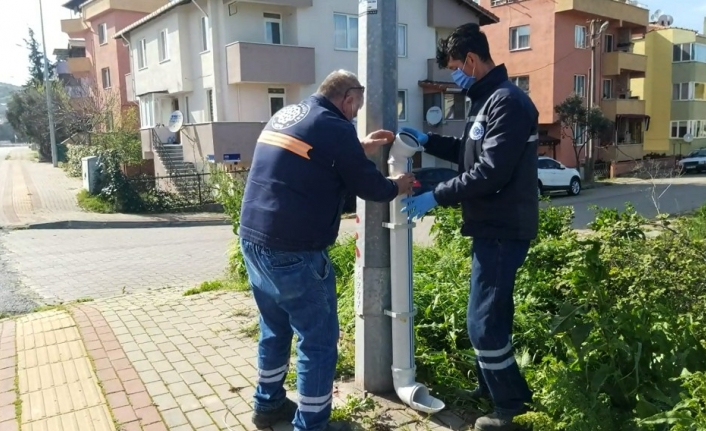 Biga Belediyesi sokak hayvanlarını unutmadı