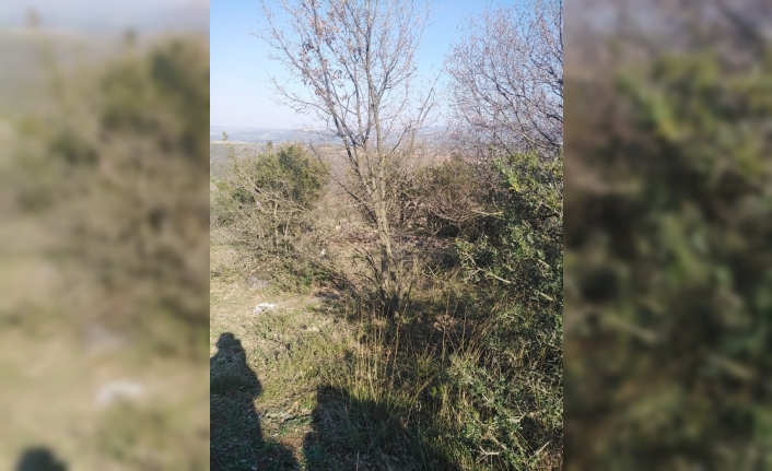Bursa’da ceset bulundu