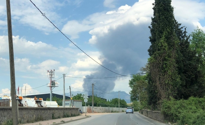 Bursa’da soğuk hava deposunda yangın