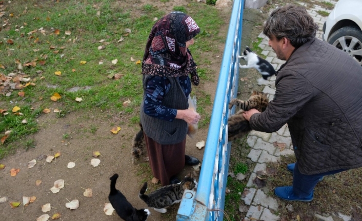 Bursalı fırıncı aç kalan köpek ve kedilere böyle sahip çıktı